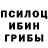 Галлюциногенные грибы мицелий TheTaya Maps